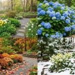 Best flowering plants for year-round color – collage of spring tulips, summer hydrangeas, fall mums, and winter hellebores.