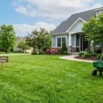 How to get a lush green lawn from scratch – featured image of a thick green lawn with a broadcast spreader and hose nearby.