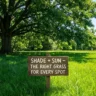Best grass seed types for shade and sun – featured image showing fine fescue thriving in shade and tall fescue in full sun.