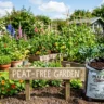 Peat-free gardening alternatives and benefits – featured image of a thriving garden with peat-free compost bag and sign.