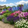 Perennial border ideas that look good every season – featured image of a layered perennial border with delphiniums, phlox, salvia, and shasta daisies.